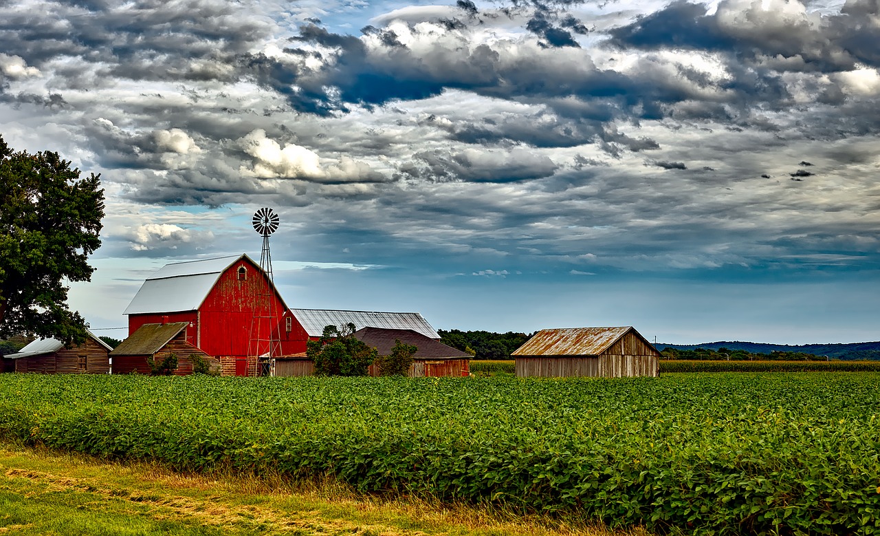 farm agriculture